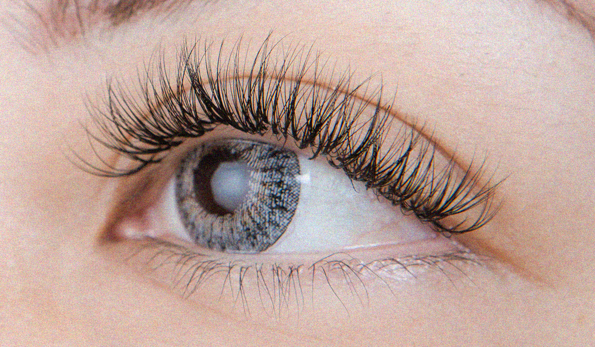 Celebrating Five Years of Lash Journey with Ayumi Eyelash Rank Magazine